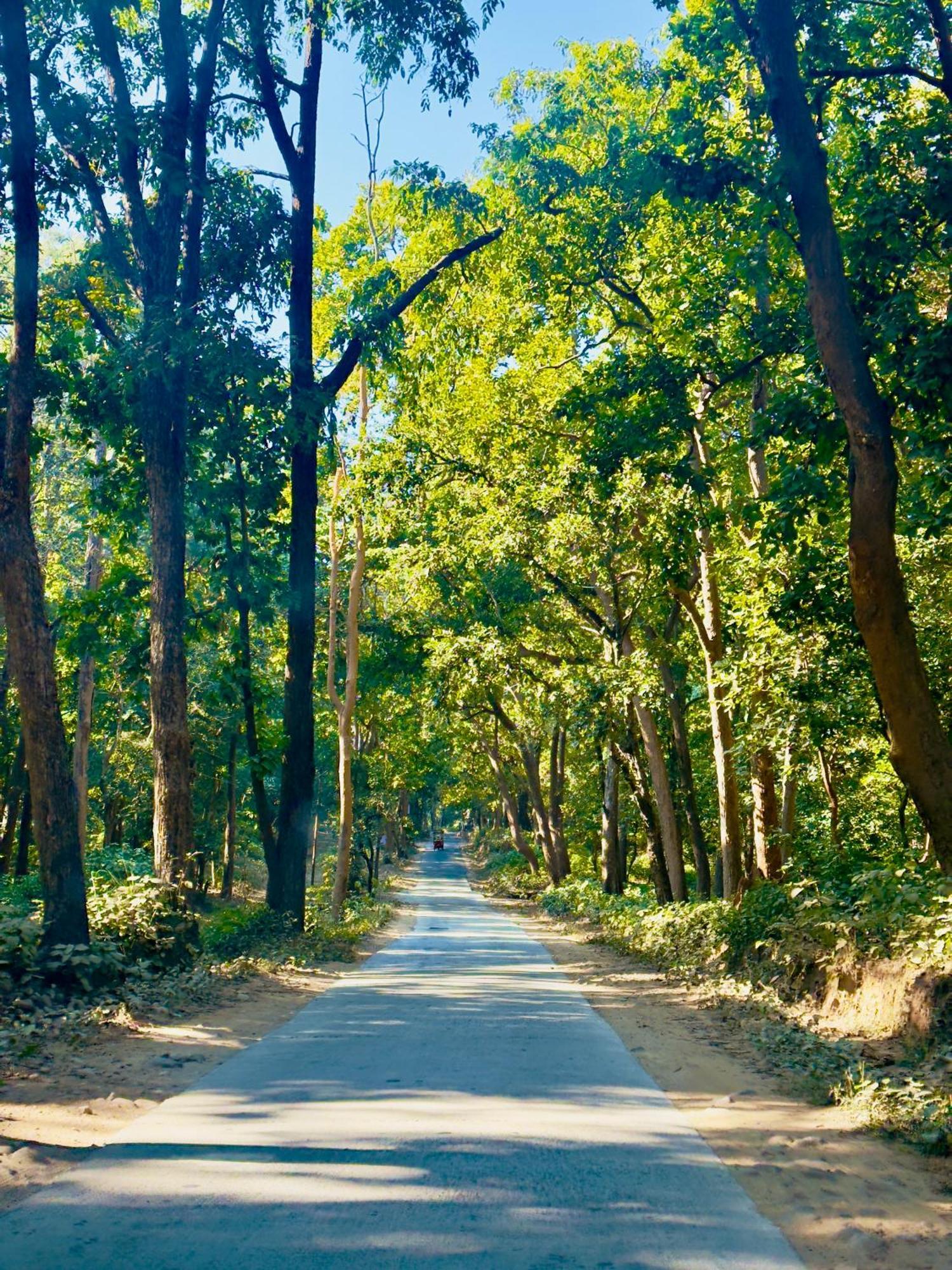 Creek Wood Resort Jim Corbett Рамнагар Экстерьер фото